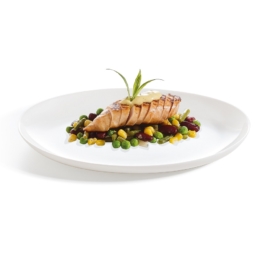 Блюдо овальное «Evolution» 330×250мм по 6 шт/уп